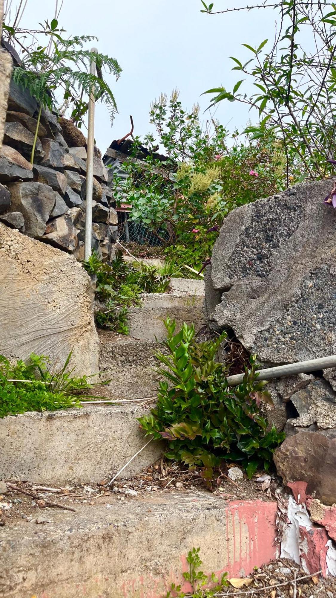 Agulo Shiva Kali Templeホステル エクステリア 写真